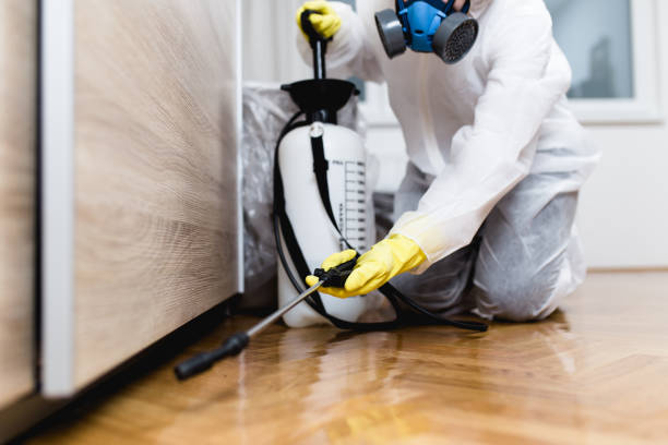 Best Pest Prevention Services  in Salem, OH