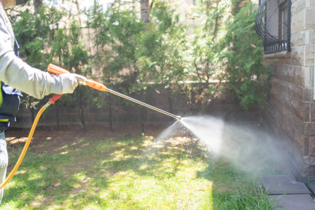 Best Affordable Pest Control Services  in Salem, OH