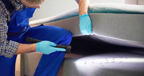 Best Residential Pest Control  in Salem, OH