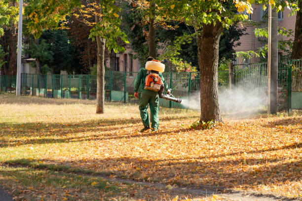 Best Wildlife Control Services  in Salem, OH
