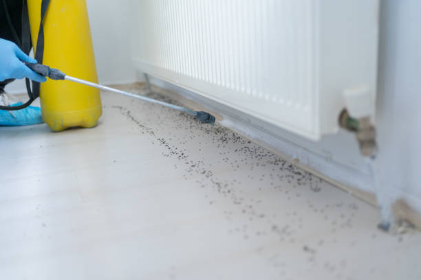 Best Exterminator Services  in Salem, OH